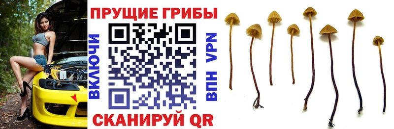 Псилоцибиновые грибы ЛСД  Вилюйск 